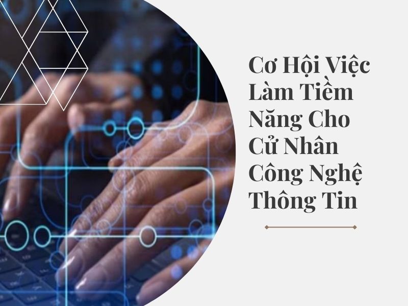 Cơ Hội Việc Làm Tiềm Năng Cho Cử Nhân Công Nghệ Thông Tin