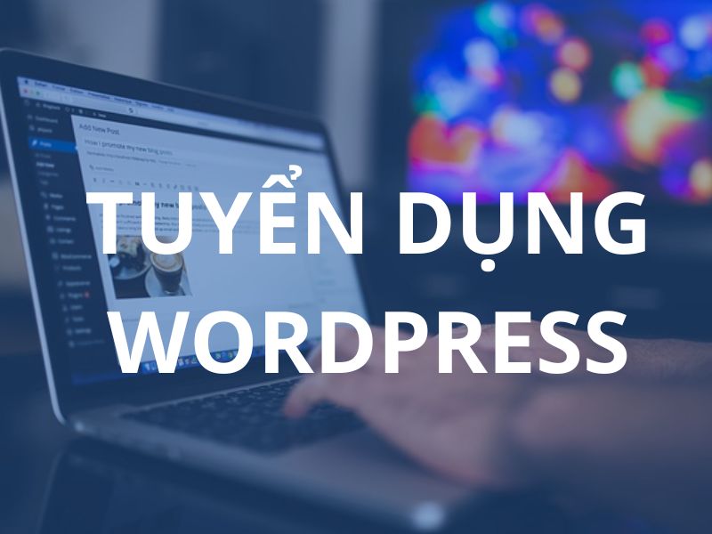 Nhu cầu tuyển dụng Wordpress tại Việt Nam tăng mạnh mẽ